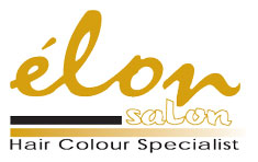Logo_salon
